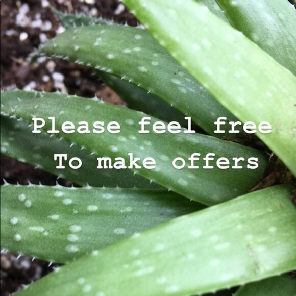 Open to all reasonable offers! - Picture 1 of 1